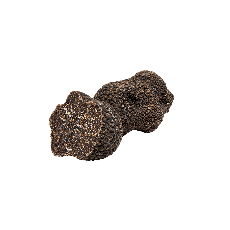 Truffe Noire Fraîche d'Hiver du Périgord (Tuber Melanosporum) de 105g